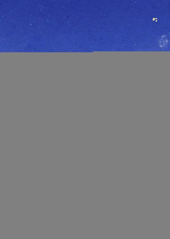 重生后闺蜜团全部性转了