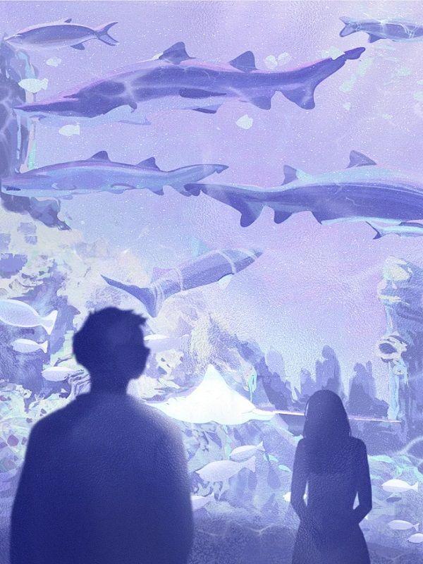 女朋友重来不管我