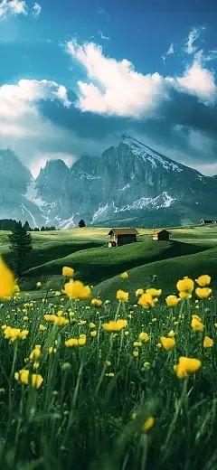 侄子女朋友要怎么说