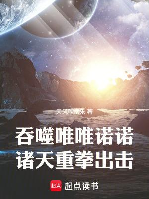 吞噬星空之唯一玩家笔趣阁