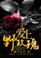 爱上野玫瑰有声书