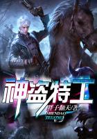 神盗特工百度百科