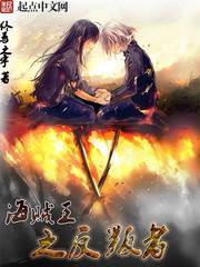 海贼王之反叛者免费阅读