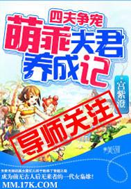 四夫挣宠夫君个个很倾城