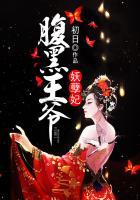 腹黑王妃妖孽王