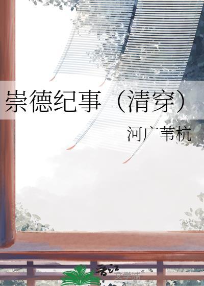 崇德纪事清穿后金