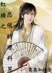 红楼之原创男主