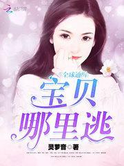 全球通缉宝贝哪里逃免费阅读