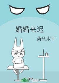 婚婚来迟菌丝木耳免费阅读