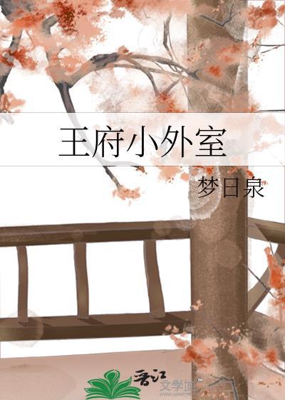 王府小外室百度
