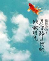 是你路过我的倾城时光结局