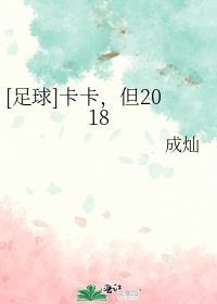 卡卡足球比赛视频