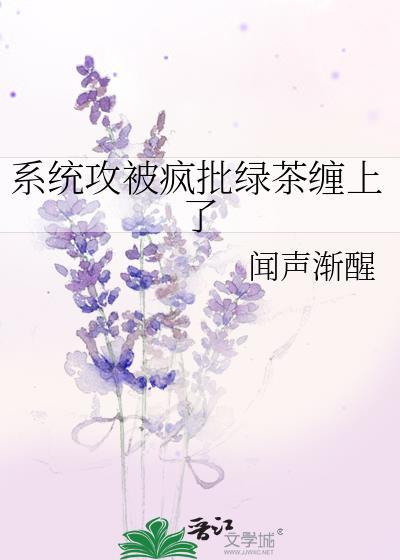 攻略系统受