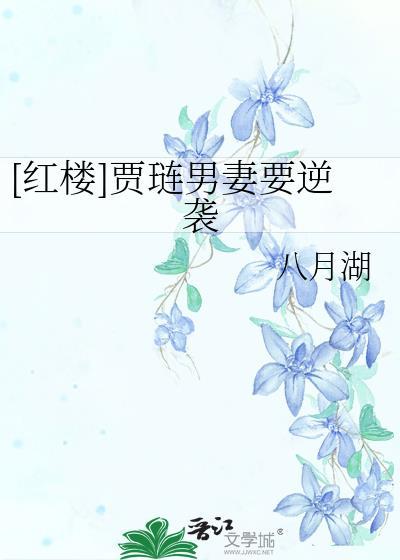贾琏妻妾关系