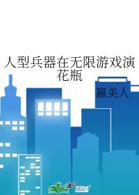 人形兵器(无限)