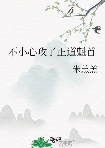 不小心攻了正道魁首怎么办