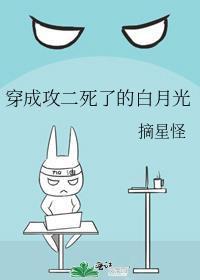 穿成攻二死了的白月光南辿星