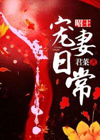 昭王宠妻日常类似