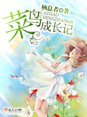 菜鸟小妞成长记