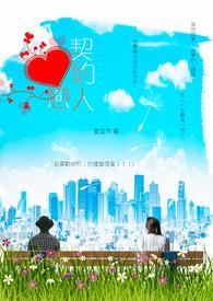 契约恋人日剧免费观看全集