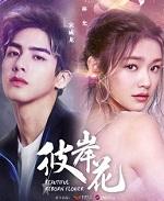 彼岸花又叫什么花