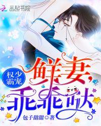 权少宠妻宝贝全文免费