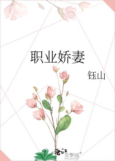 职业娇妻晋江