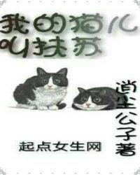 我的猫儿全文免费阅读