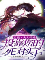 总裁夫人又带娃跑了南心北往