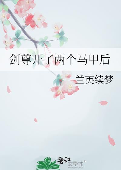 剑尊开了两个马甲后怎么办