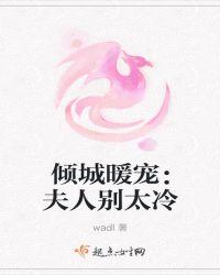 夫人太暖免费阅读