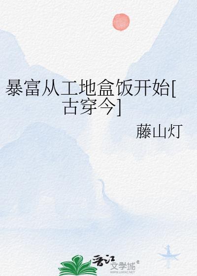 暴富从工地盒饭开始[古穿今