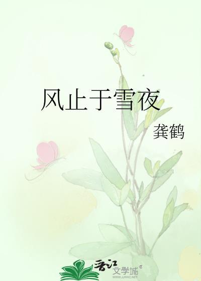 风止于雪夜免费阅读