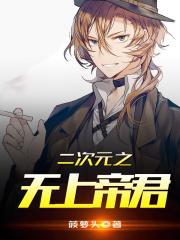 二次元之无上帝君正版