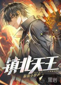 镇北天王电视剧免费播放