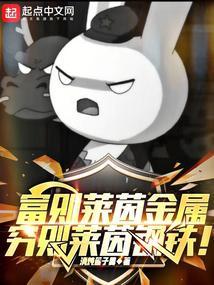 穷则莱茵钢铁!TXT百度