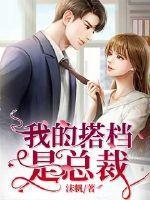 我的搭档是大佬 作者弑神天使