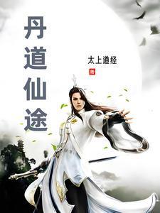 丹道仙途太上道TXT百度