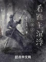 三国之谁主天下水镜攻略