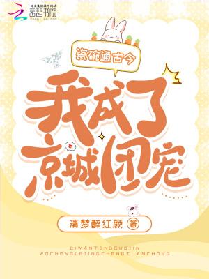 瓷碗通古今我成了京城团宠全文免费阅读