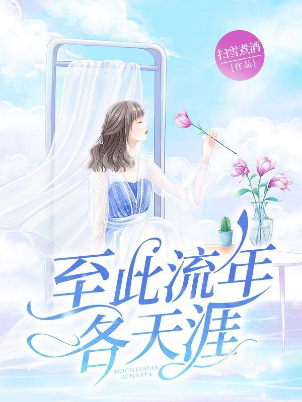 至此流年各天涯电视剧