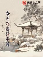 奋斗在嘉靖年间百度