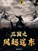 三国之风起南海笔趣阁