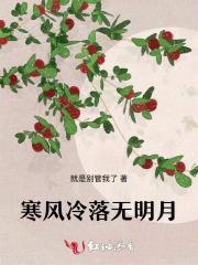 寒风冷落无明月下一句