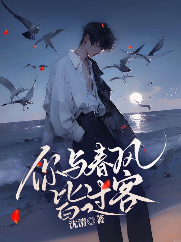 春风与你皆过客歌词