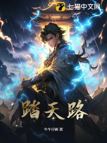 踏天路全集免费观看