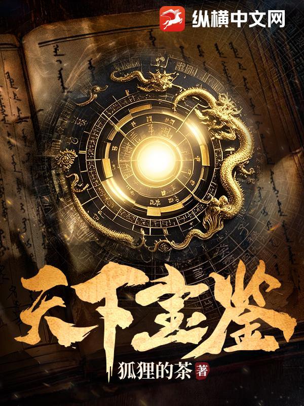 天下宝鉴无防盗