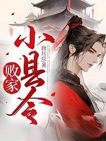 败家小县令TXT免费