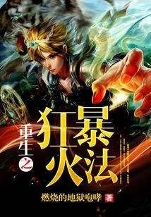 重生之狂暴火法在线阅读