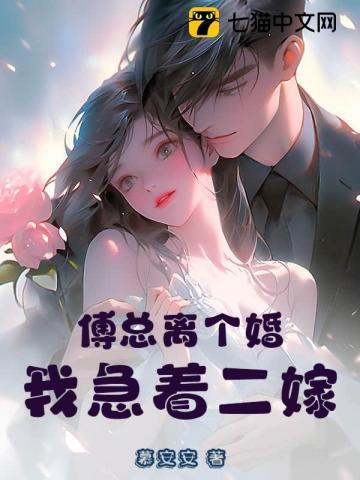 夫人又闹离婚了